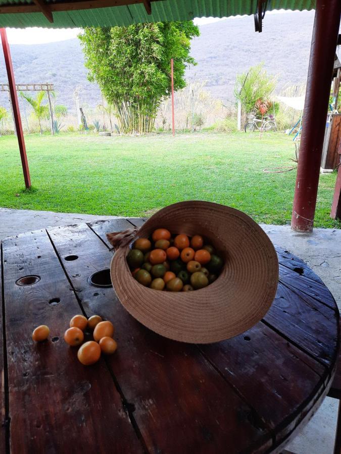 La Cabana De Blanca Jalpan de Serra Exterior foto