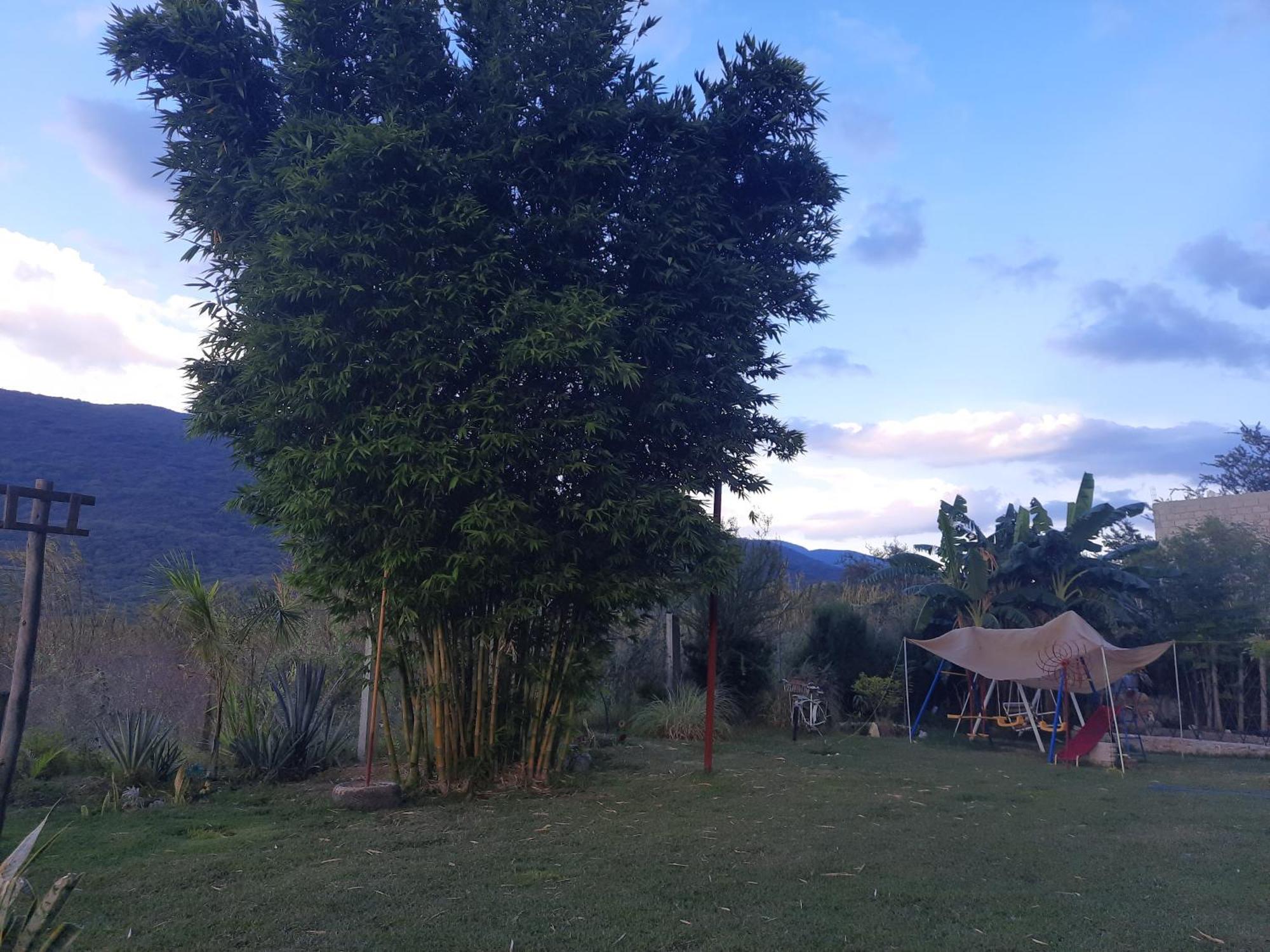 La Cabana De Blanca Jalpan de Serra Quarto foto